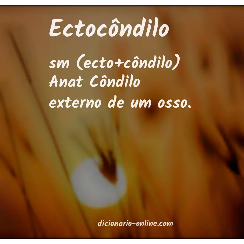 Significado de ectocôndilo