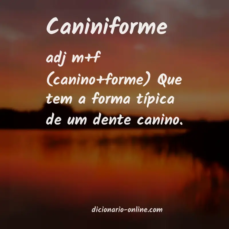 Significado de caniniforme