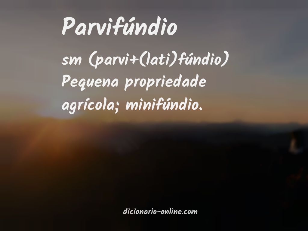 Significado de parvifúndio