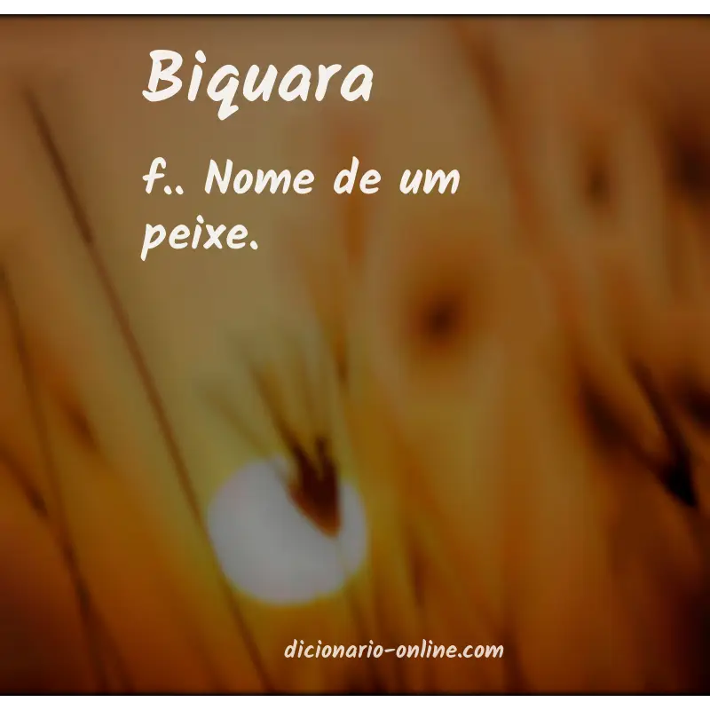 Significado de biquara
