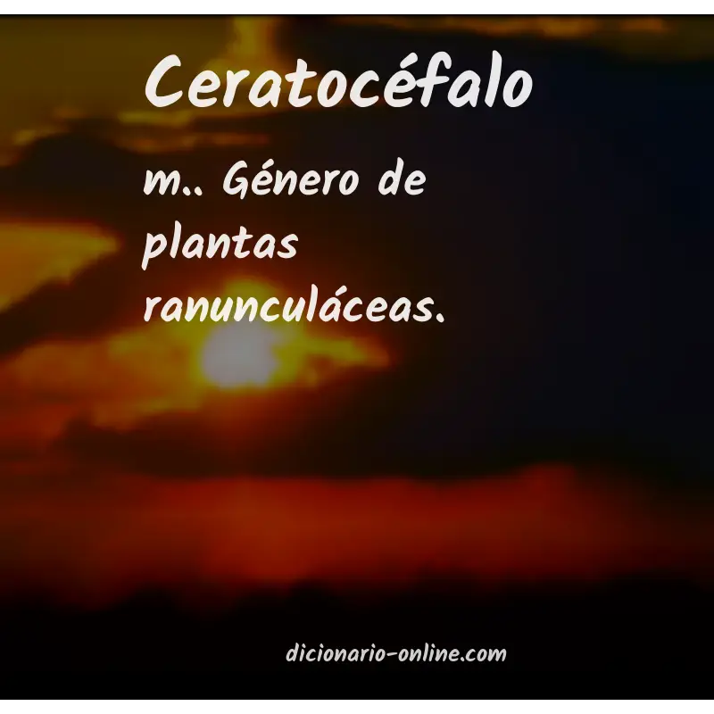 Significado de ceratocéfalo