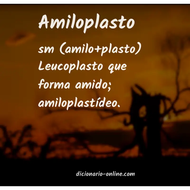 Significado de amiloplasto