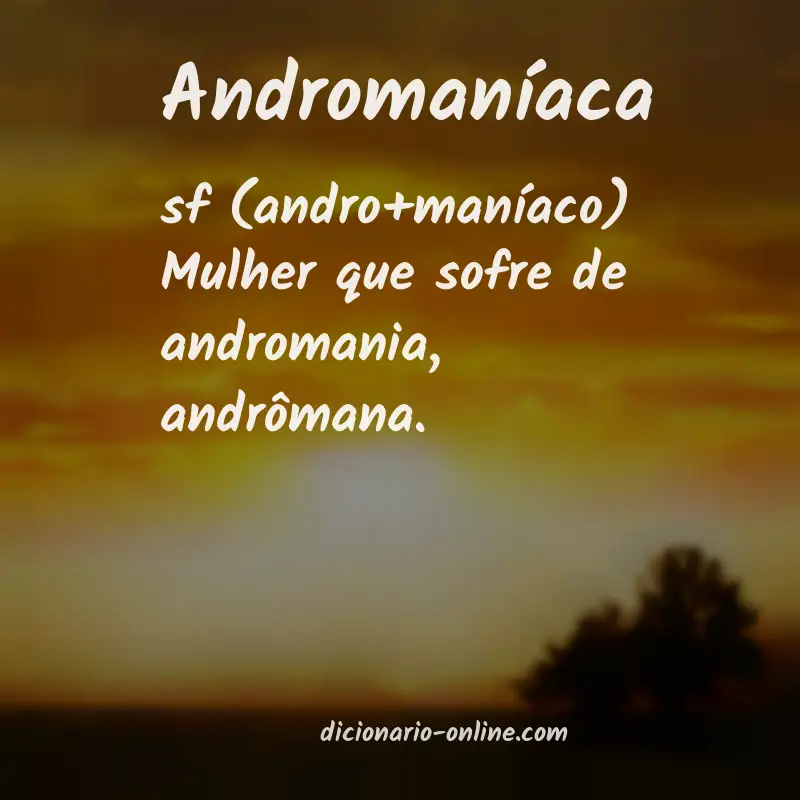 Significado de andromaníaca