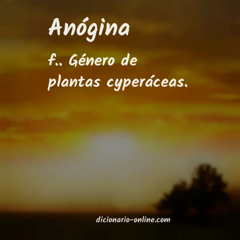 Significado de anógina