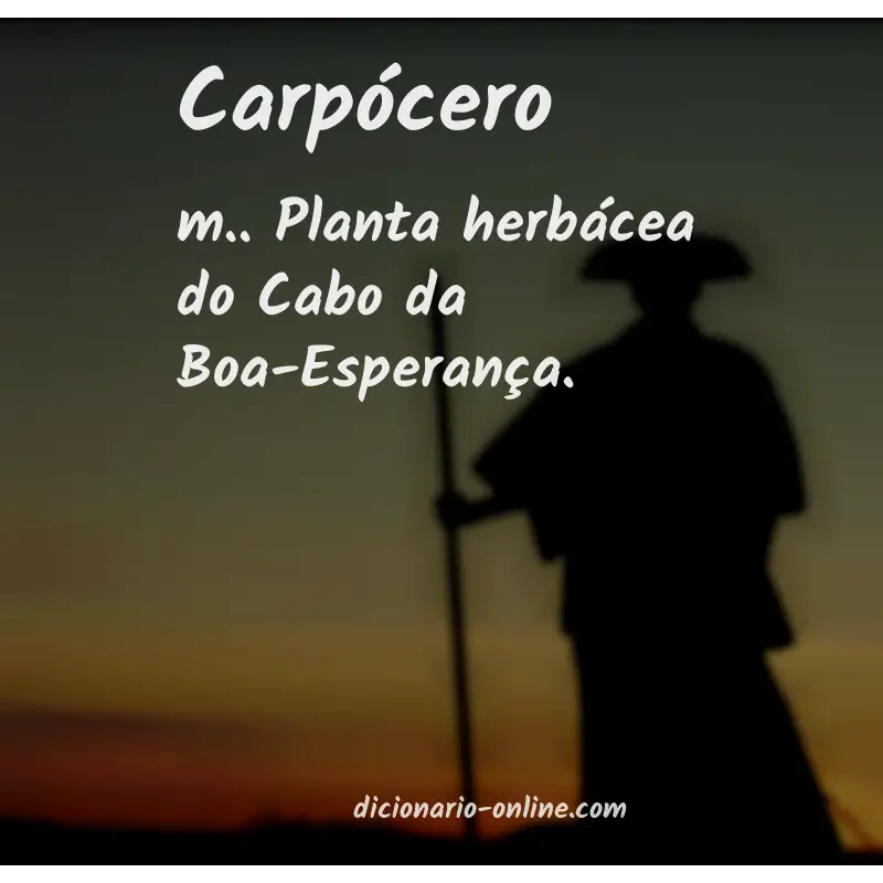 Significado de carpócero