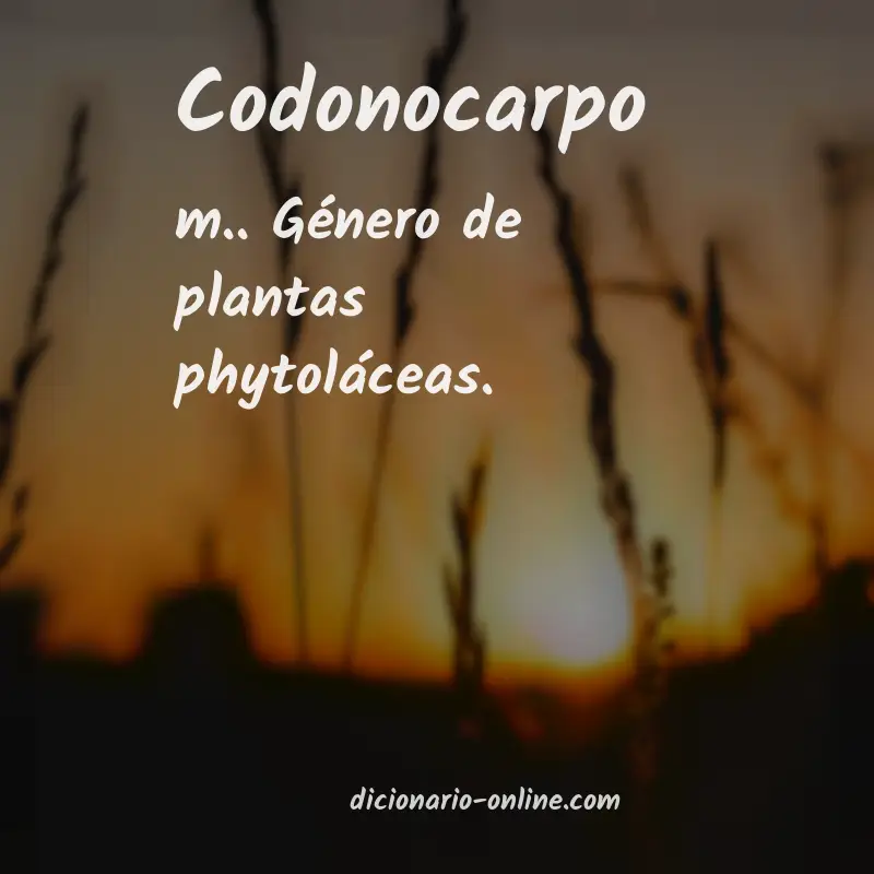 Significado de codonocarpo