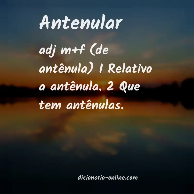 Significado de antenular