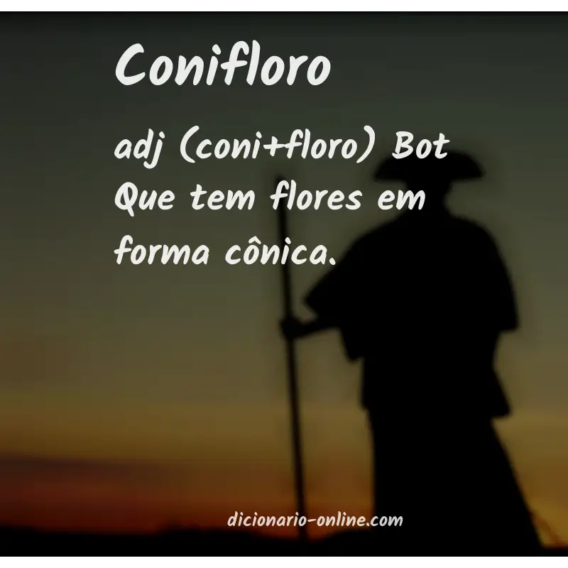 Significado de conifloro