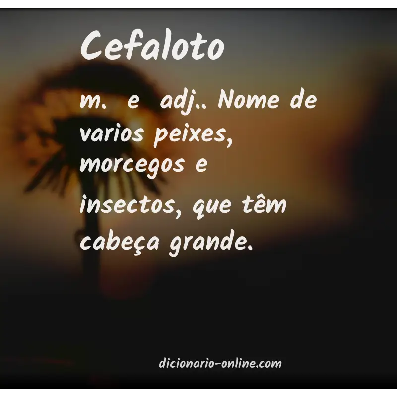 Significado de cefaloto
