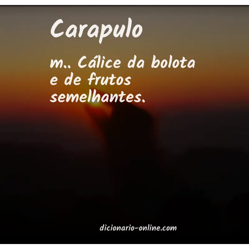 Significado de carapulo
