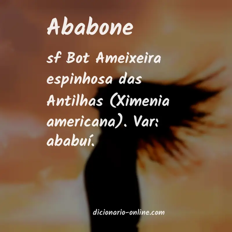 Significado de ababone
