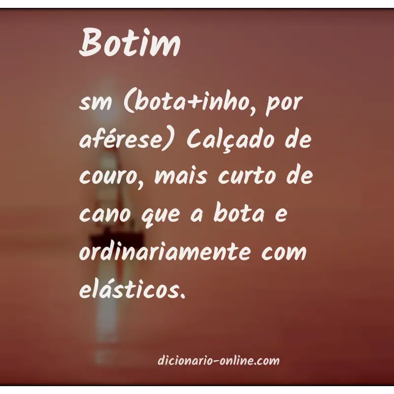 Significado de botim