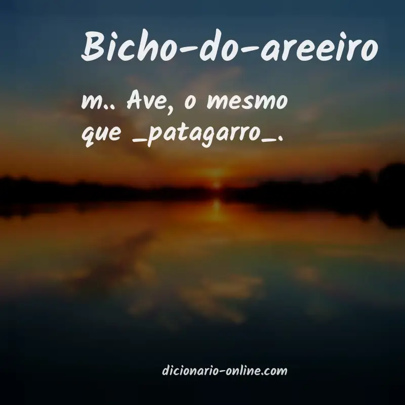 Significado de bicho-do-areeiro