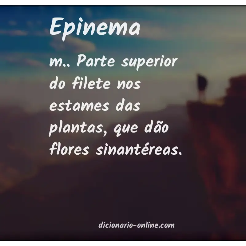 Significado de epinema