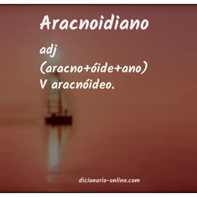 Significado de aracnoidiano