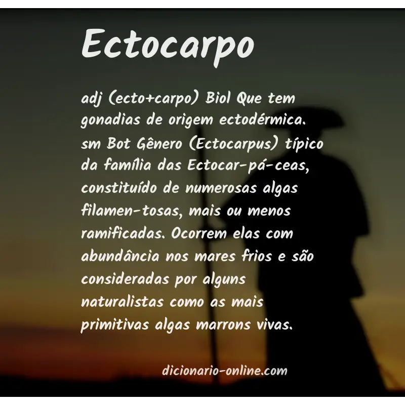 Significado de ectocarpo