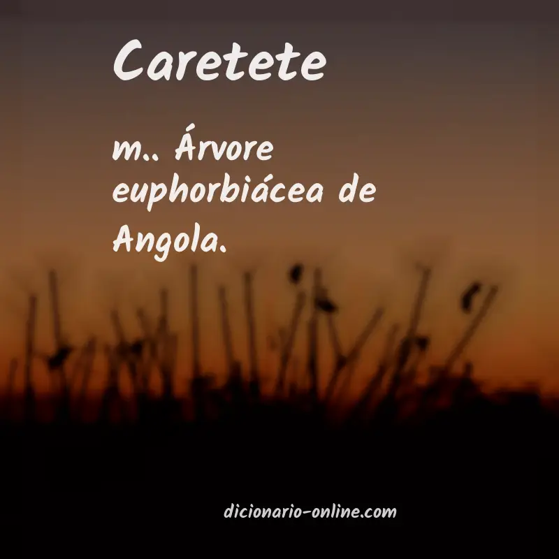 Significado de caretete
