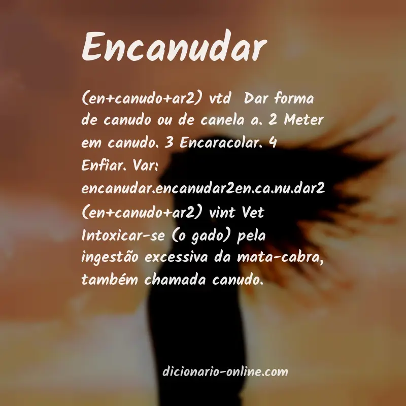 Significado de encanudar