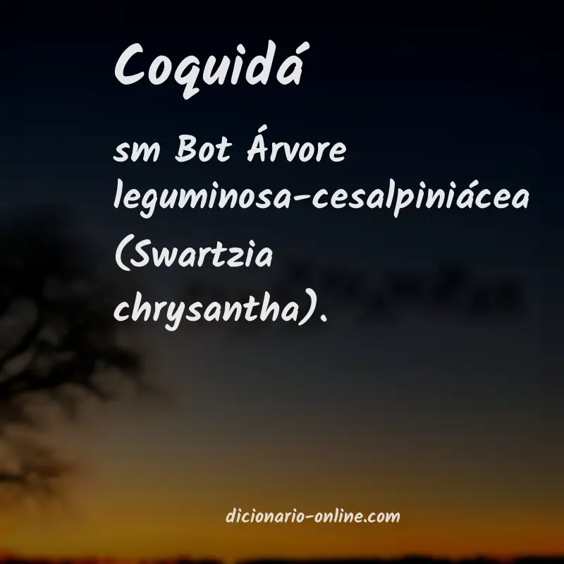 Significado de coquidá