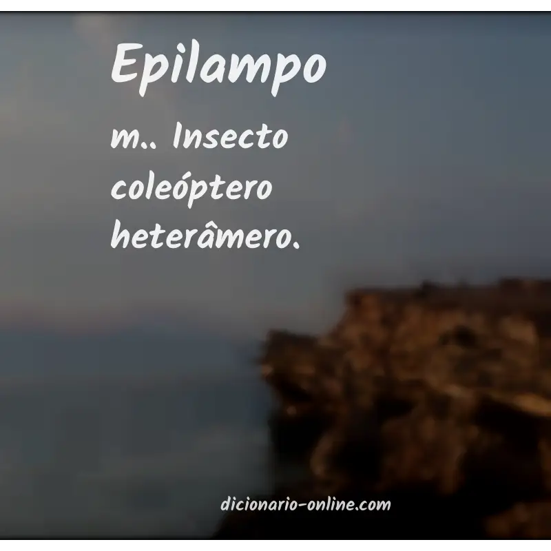 Significado de epilampo