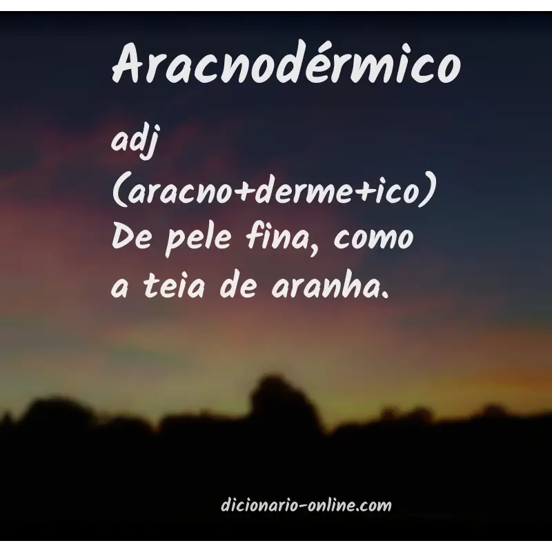 Significado de aracnodérmico