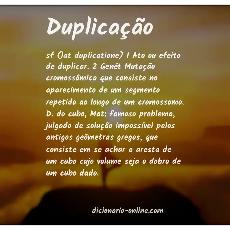 Significado de duplicação