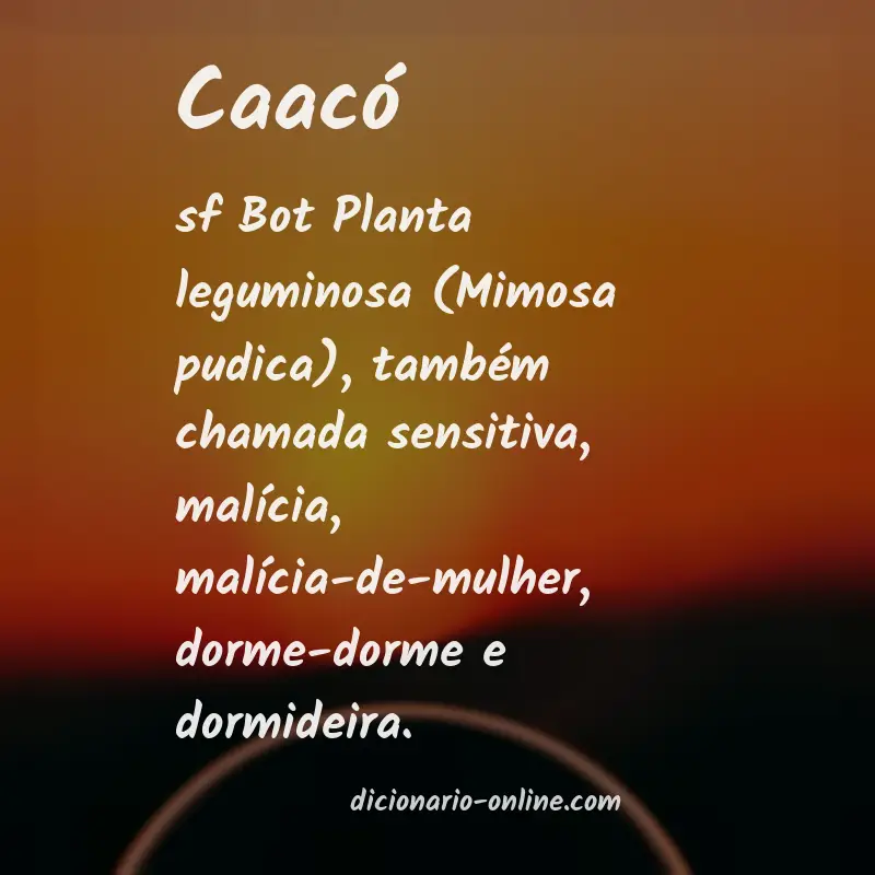 Significado de caacó
