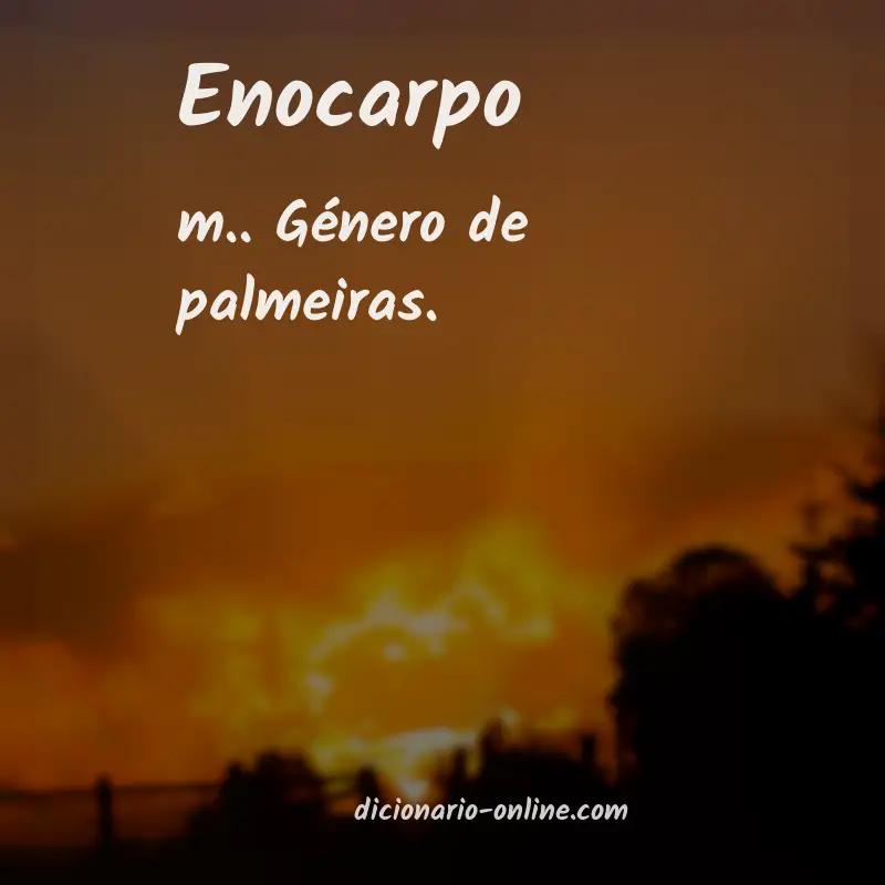 Significado de enocarpo