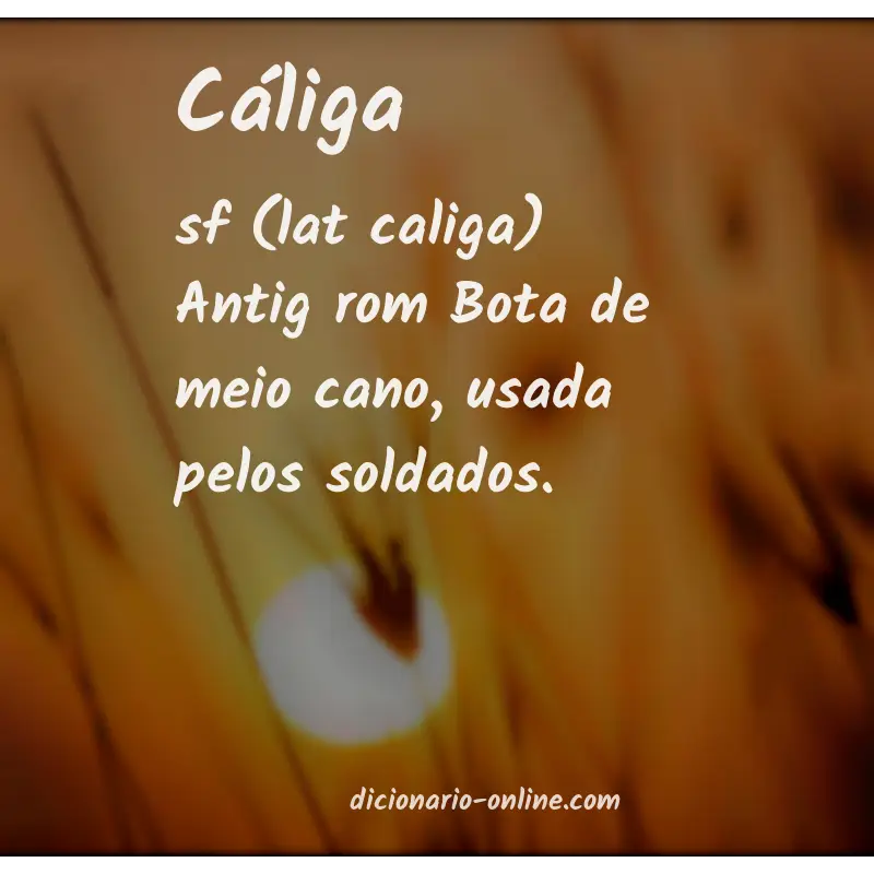 Significado de cáliga