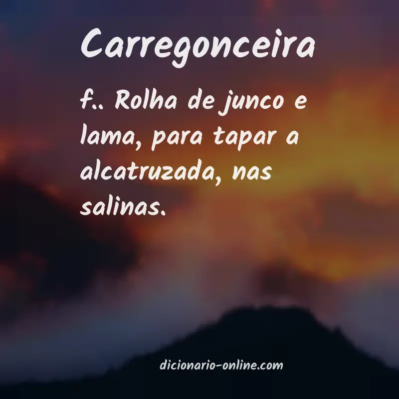 Significado de carregonceira