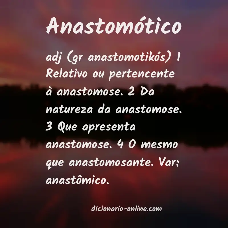 Significado de anastomótico
