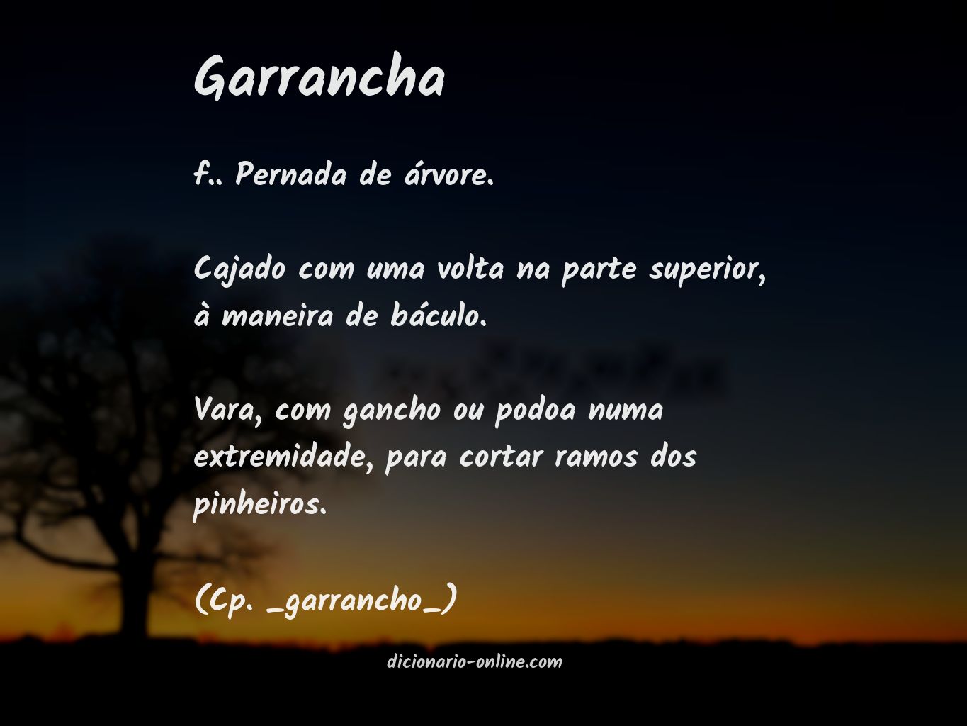 Significado de garrancha