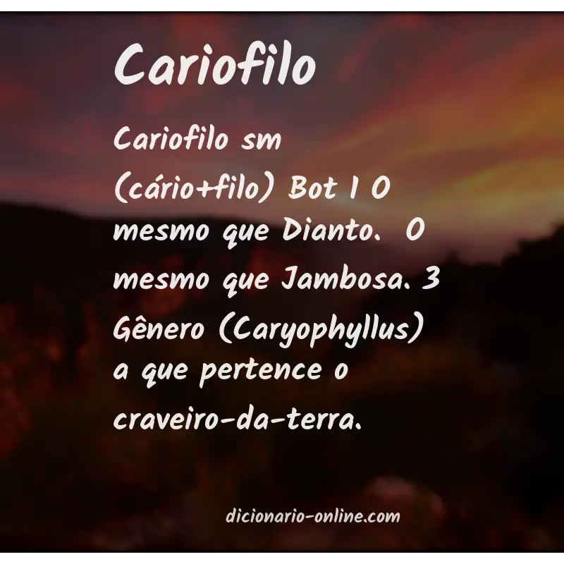 Significado de cariofilo