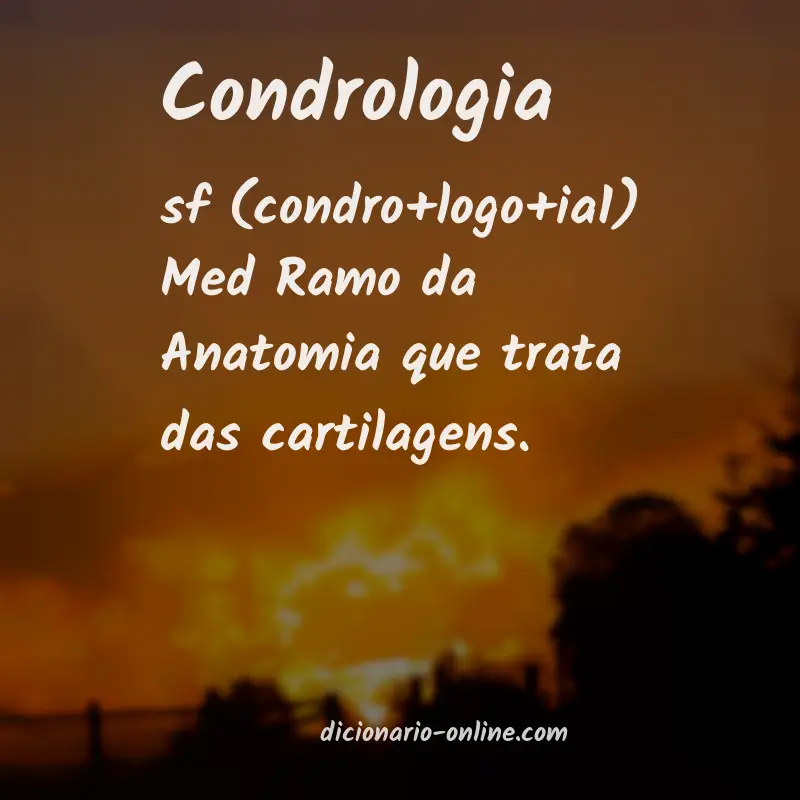 Significado de condrologia