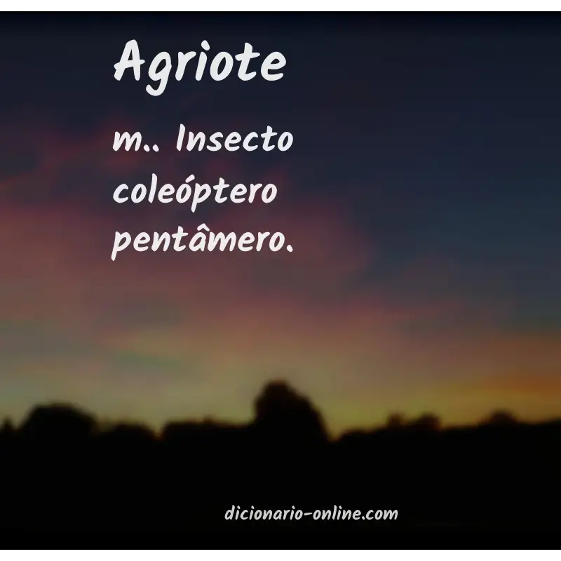 Significado de agriote