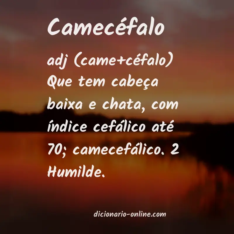 Significado de camecéfalo