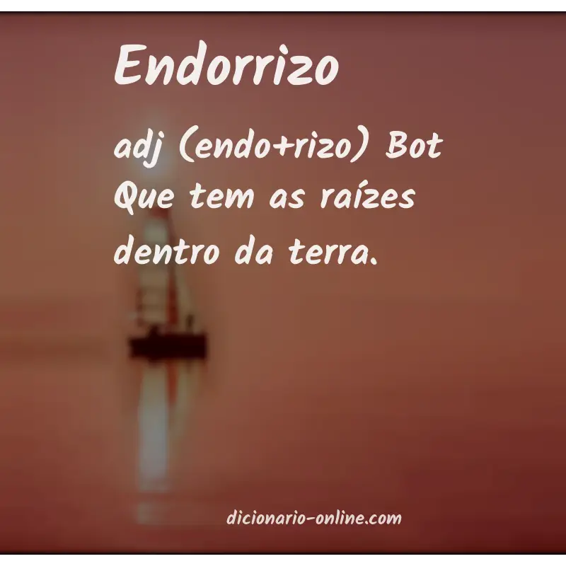 Significado de endorrizo