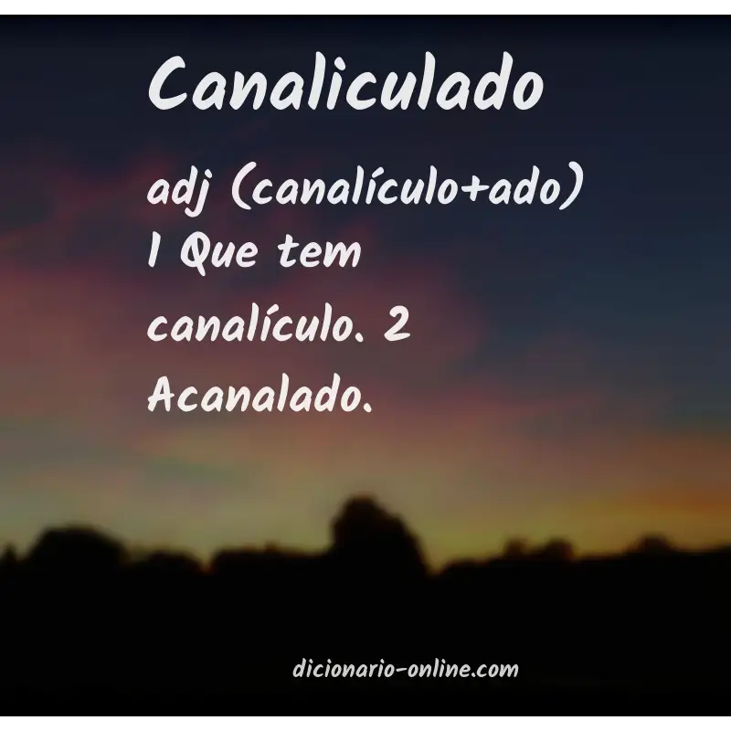 Significado de canaliculado