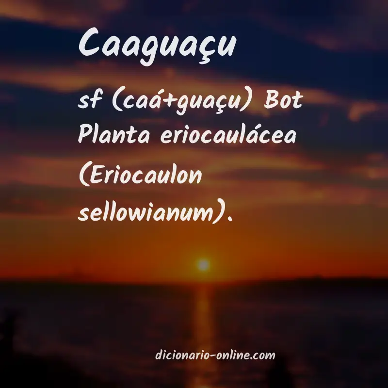 Significado de caaguaçu
