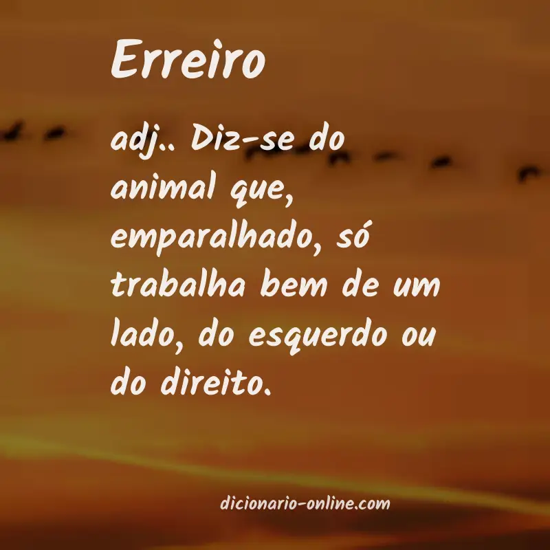 Significado de erreiro
