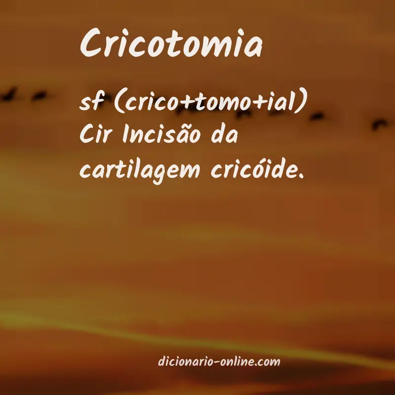 Significado de cricotomia