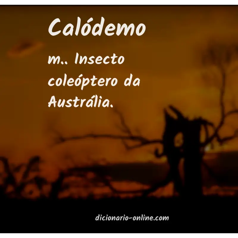 Significado de calódemo