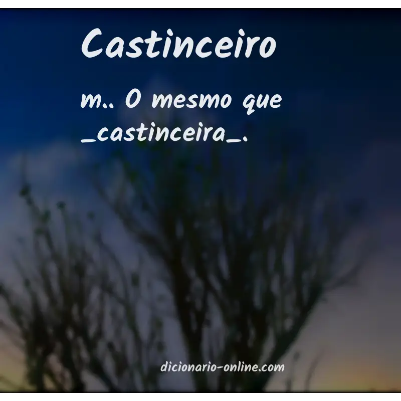 Significado de castinceiro