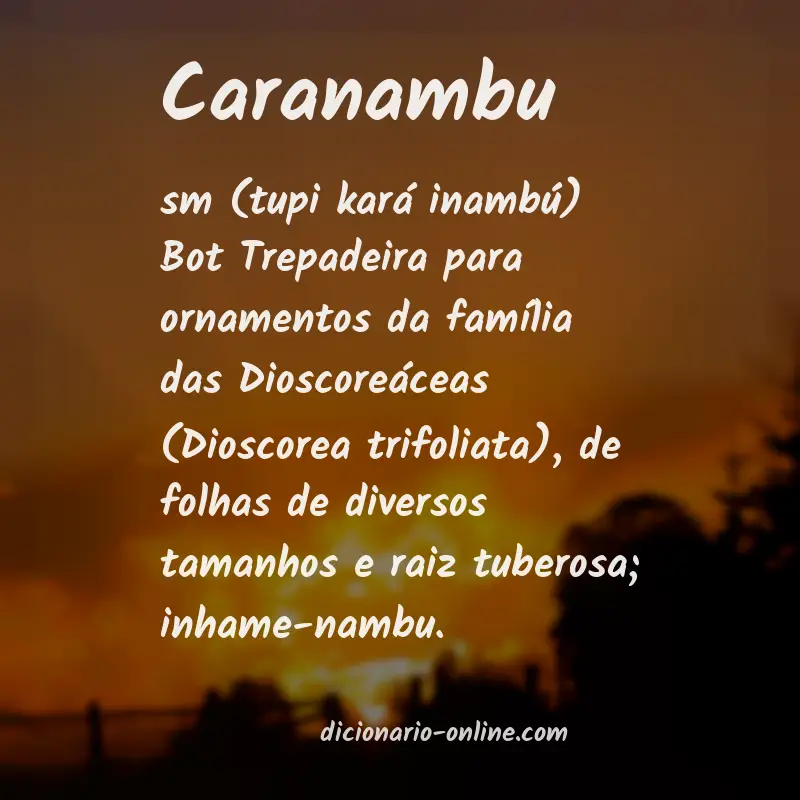 Significado de caranambu