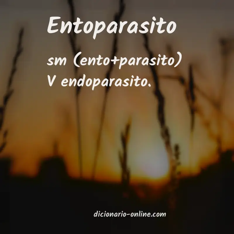 Significado de entoparasito