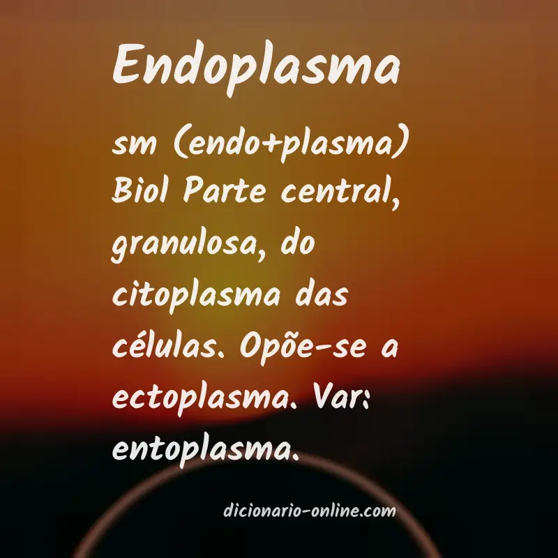 Significado de endoplasma