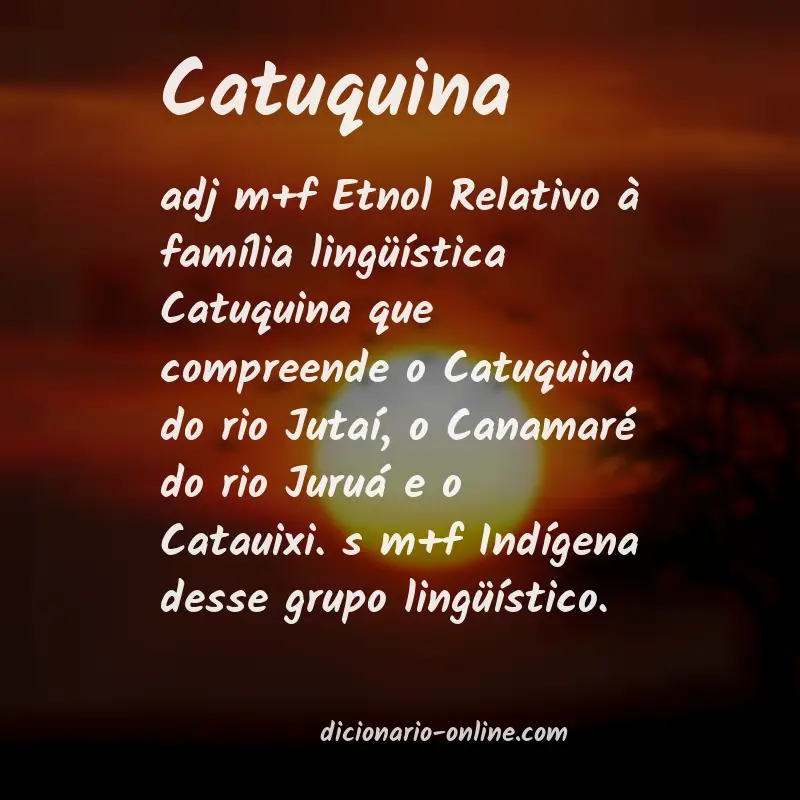 Significado de catuquina