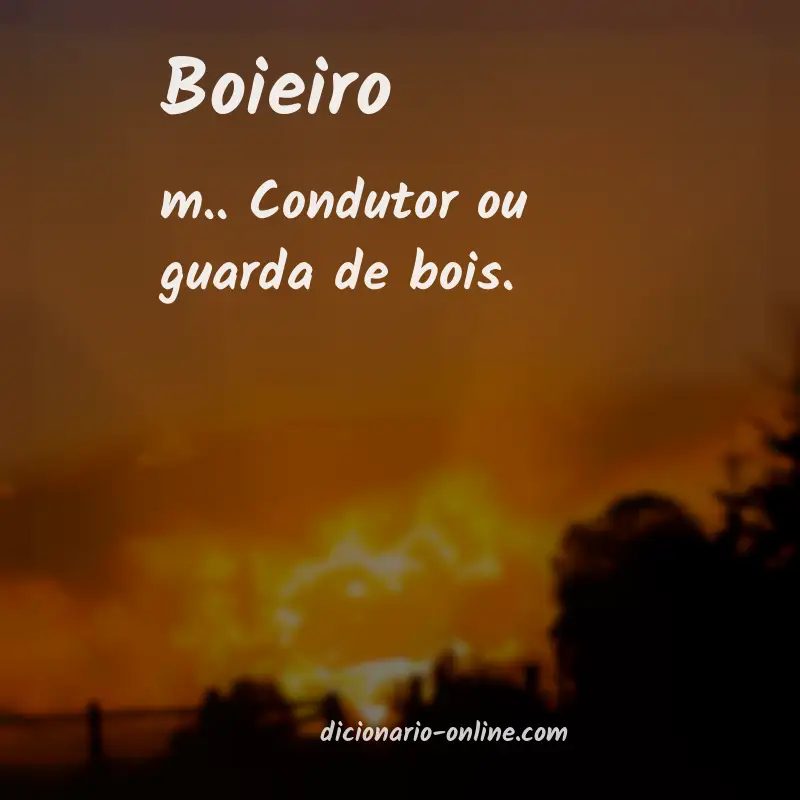 Significado de boieiro