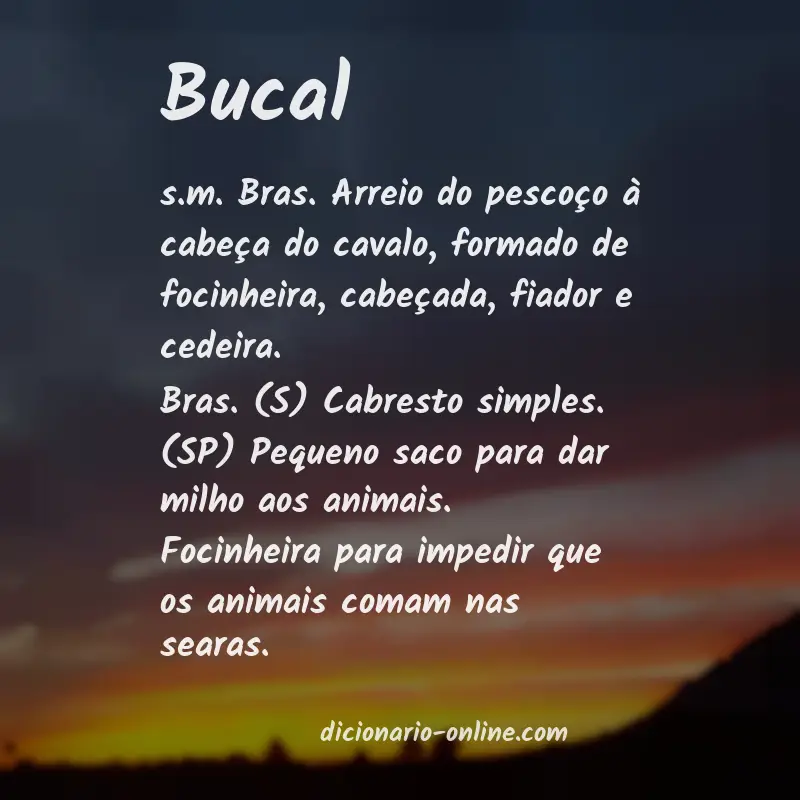 Significado de bucal