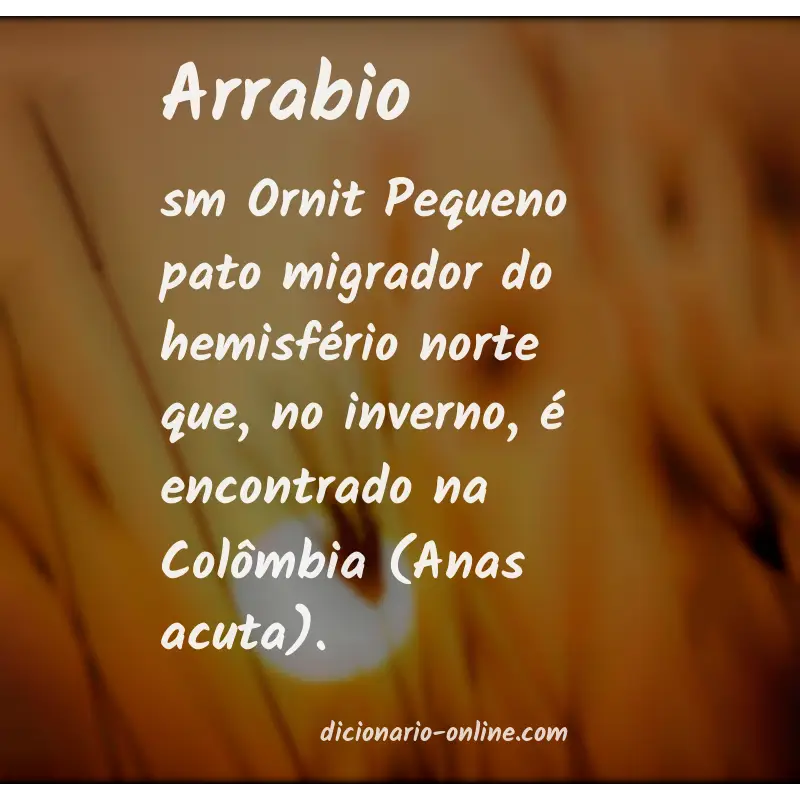 Significado de arrabio